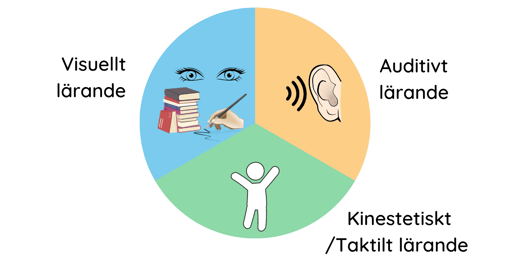 En guide till de olika lärstilarna: visuellt, auditivt och kinestetiskt/taktilt lärande